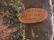 51 Sentiero di belle scalette, dedicato al grande alpinista Mario Curnis